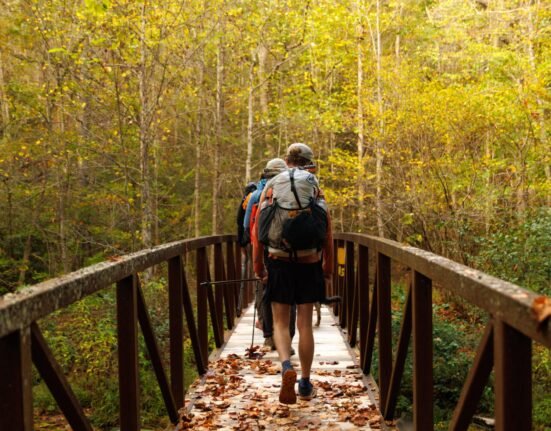 8 Must-Visit Hiking Areas in the Allegheny Mountains