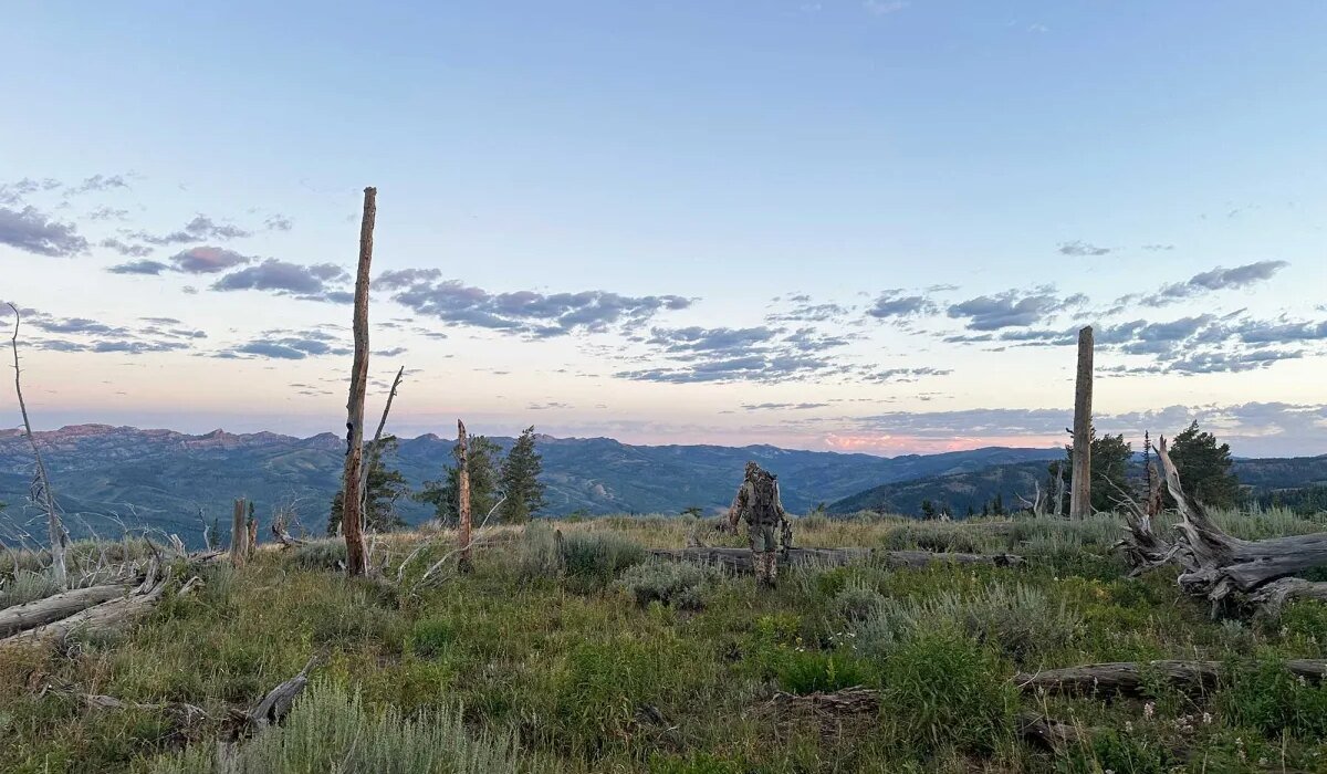 Are you excited for your DIY Western Hunt? Here's What Podcasters and Influencers Aren't Telling You