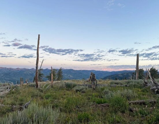 Are you excited for your DIY Western Hunt? Here's What Podcasters and Influencers Aren't Telling You