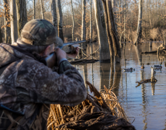 Arkansas proposes duck hunting draw for St. Francis Sunken Lands WMA