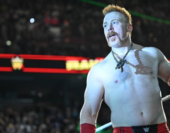 Backstage Update: WWE official shoves Sheamus before he leaves