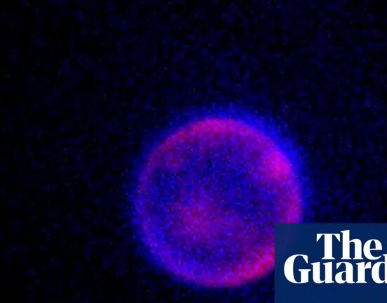 'Beautiful blobs': Can scientists create life from scratch? - Podcast | Science