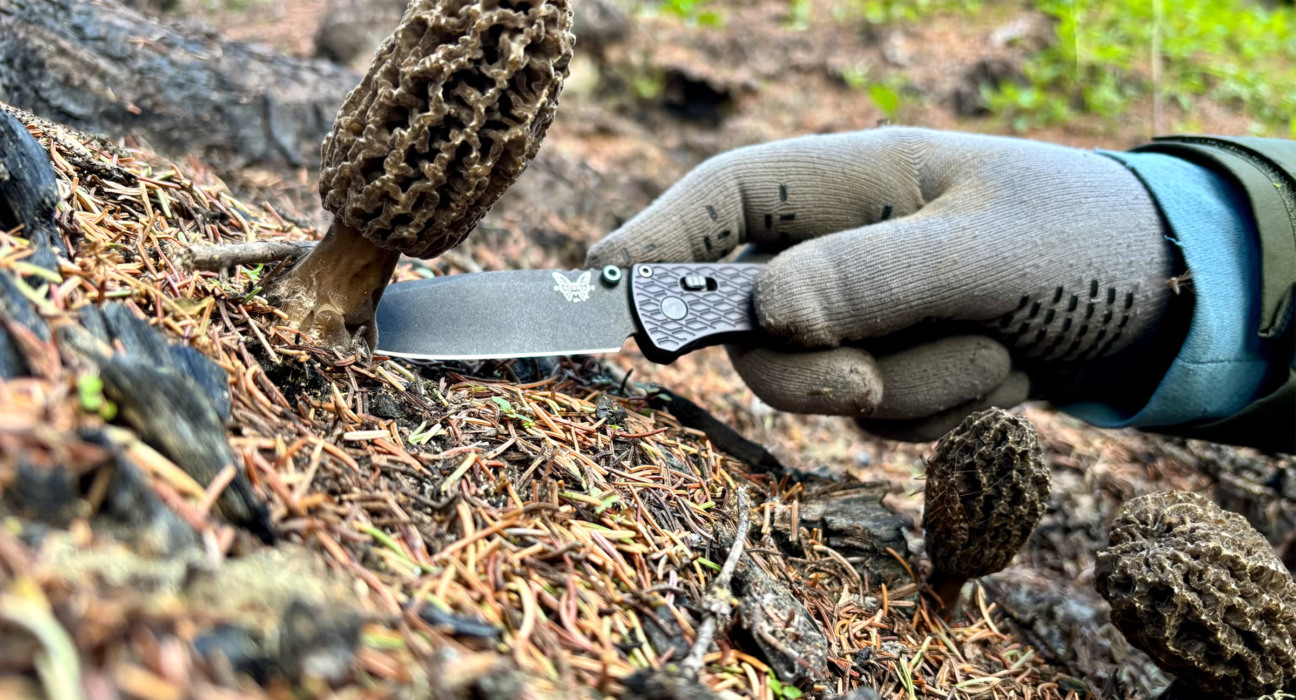 Benchmark's Bugout Vapor Knife is even better than the original