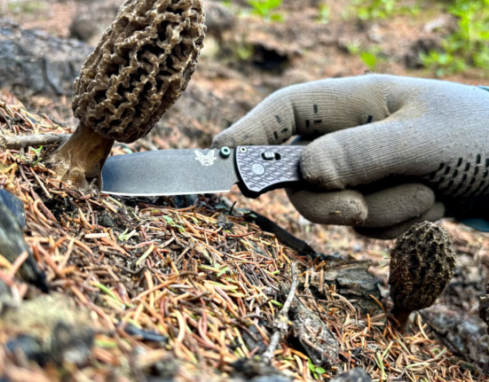 Benchmark's Bugout Vapor Knife is even better than the original