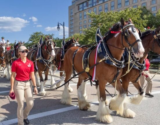 Budweiser debuts 9-foot beer-pouring Liberty Bell in Philadelphia
