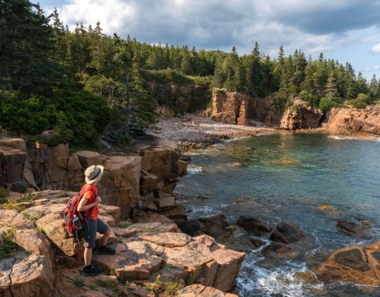 Can Big Tech Save National Parks? millions of dollars say yes