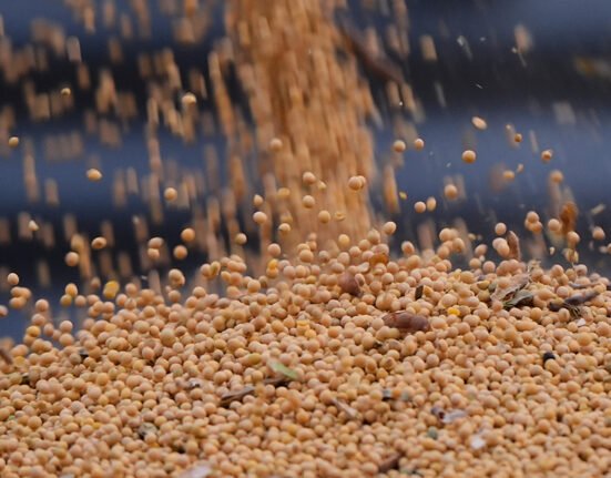 China buys more US soybeans as agricultural trade increases