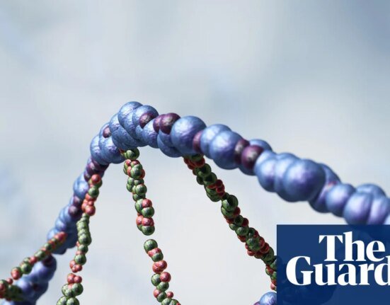 Could the world's first gene therapy stop aging? - Podcast | Science