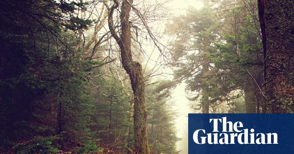 Country People review by Daniel Mason – a delightful follow-up to North Woods | Imagination