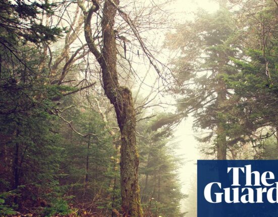 Country People review by Daniel Mason – a delightful follow-up to North Woods | Imagination
