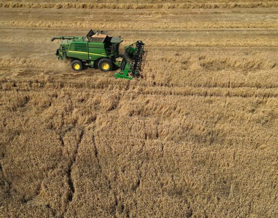 Crop prices hit three-year high as fears over supplies swell due to heat, war