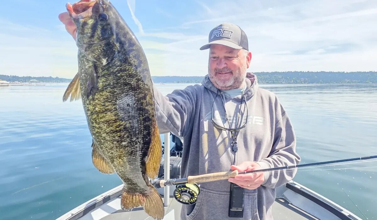 Fly fishing guide caught the same giant smallmouth bass 3 times - it became a world record