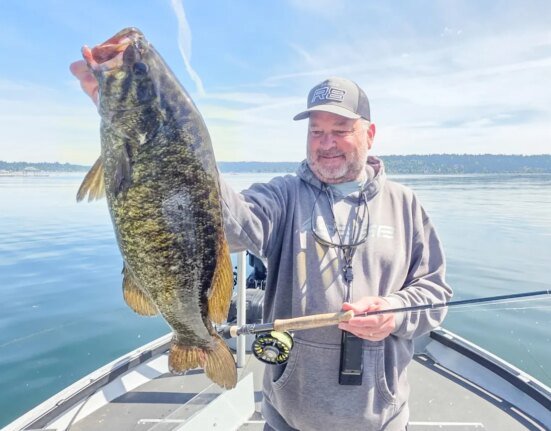 Fly fishing guide caught the same giant smallmouth bass 3 times - it became a world record