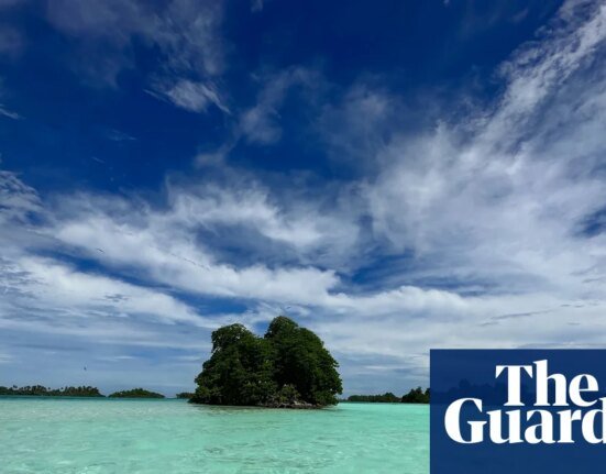 Fungi: The Invisible Force Protecting Our Planet - Podcast | fungus