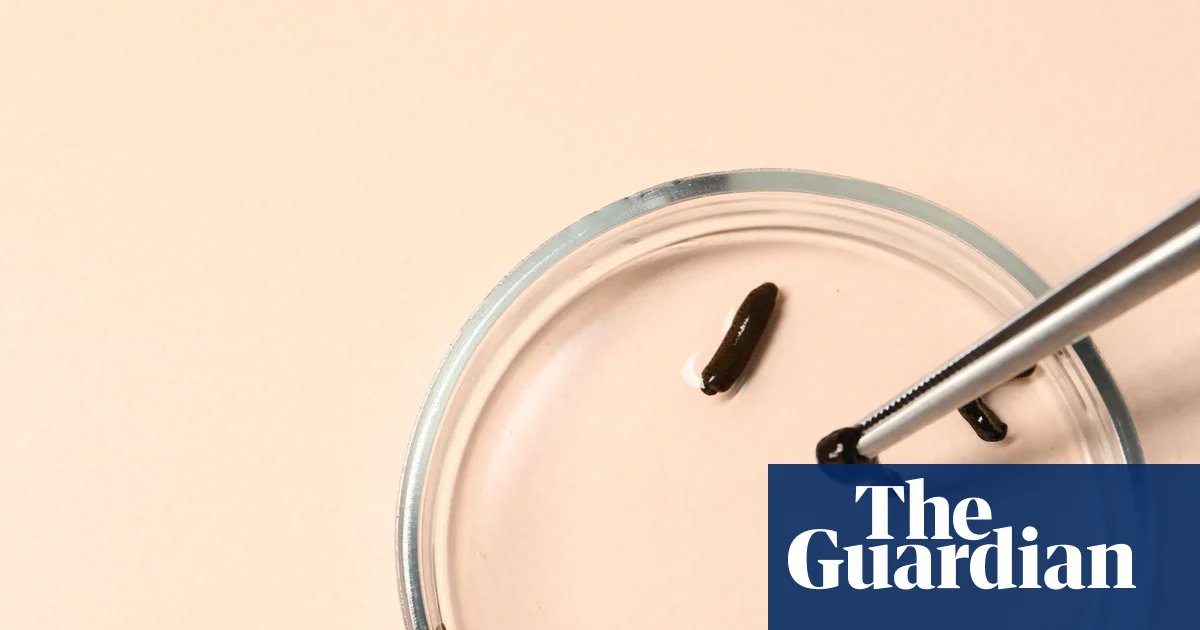 Hidden Creatures by Dino Martins Review – The Rebel World of Parasites | science and nature books