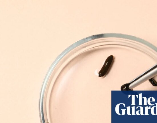 Hidden Creatures by Dino Martins Review – The Rebel World of Parasites | science and nature books