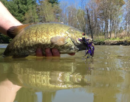How to Catch Big Bass in Dirty Water