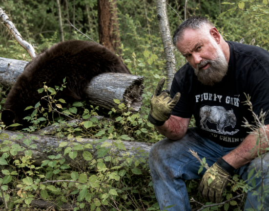 Idaho man banned from hunting for life for illegal guiding operation