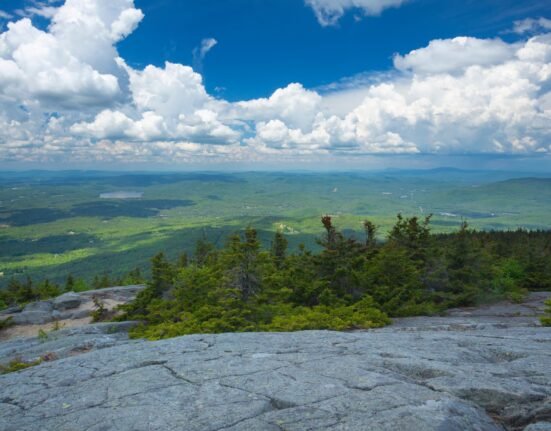 Increase in engagement turns into defense of engagement in New Hampshire