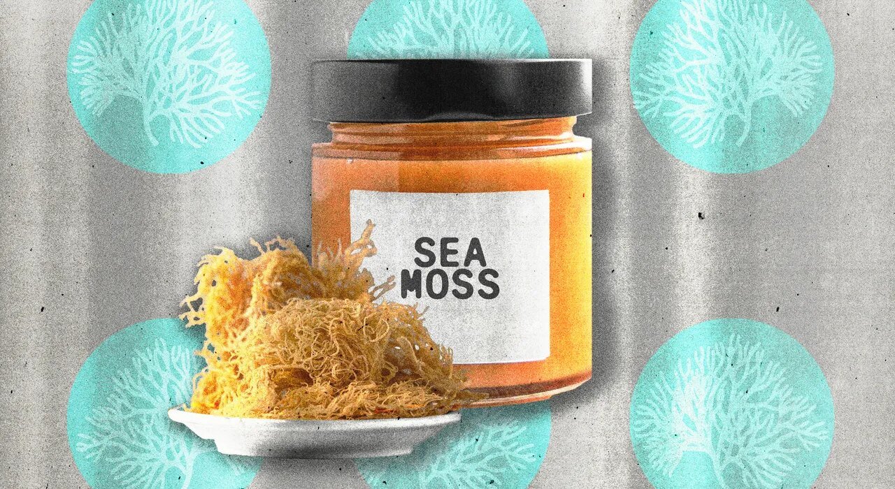 Is Sea Moss Worth the Hype? Here's what the experts think