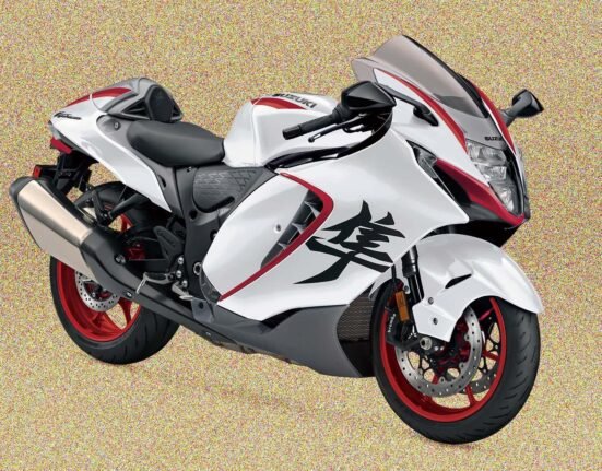 Is Suzuki stuck on Hayabusa's future?