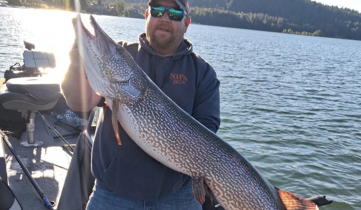 "I've been looking for this fish for 30 years." idaho angler lands record pike