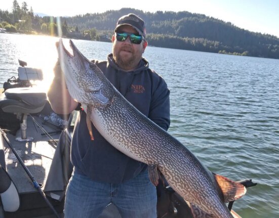 "I've been looking for this fish for 30 years." idaho angler lands record pike