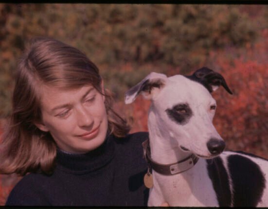Literary Center » A new Mary Oliver documentary reflects on the poet's wild and precious life.