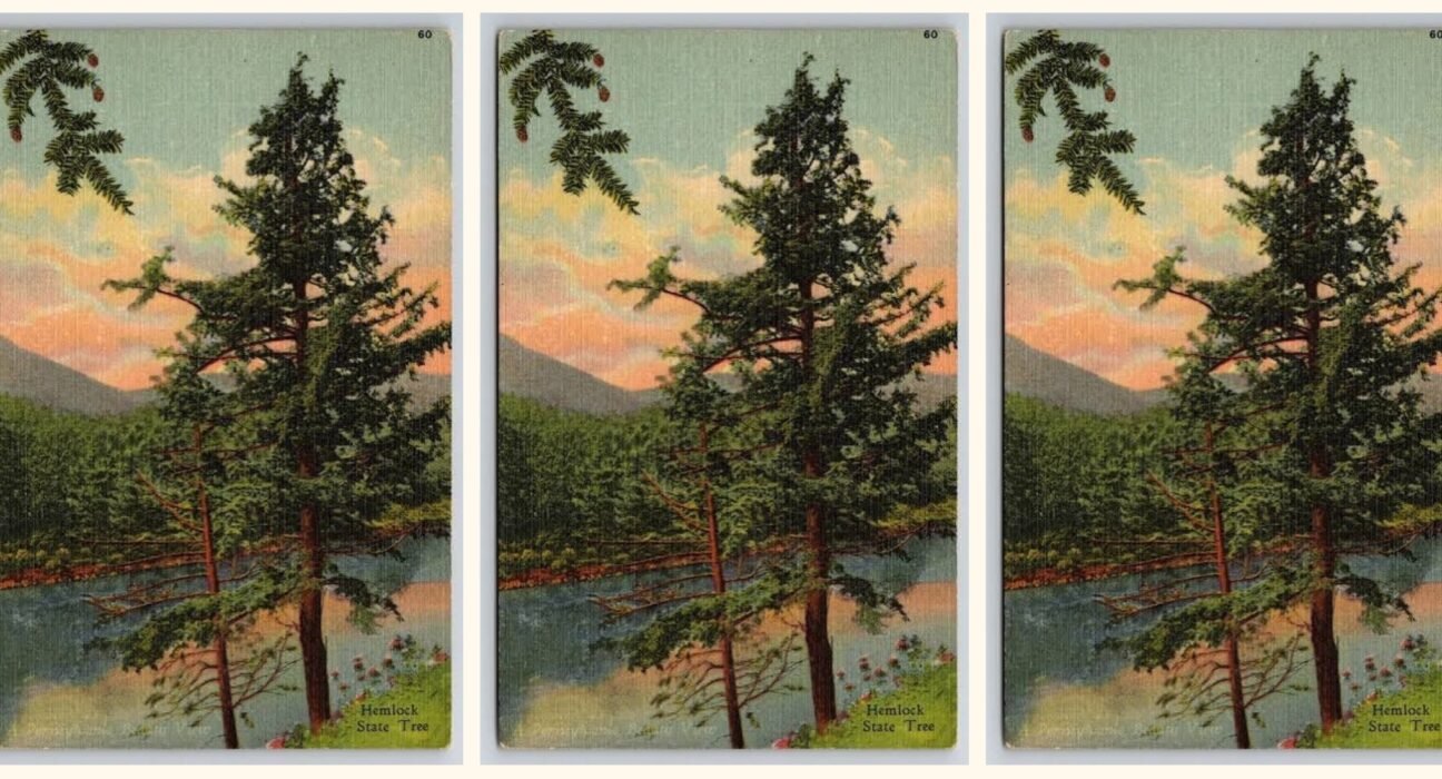 Literary Center » "Hemlock, 1956," a poem by Victoria Chang