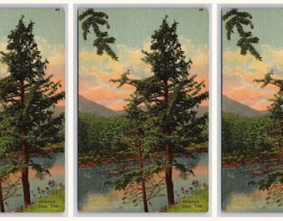 Literary Center » "Hemlock, 1956," a poem by Victoria Chang