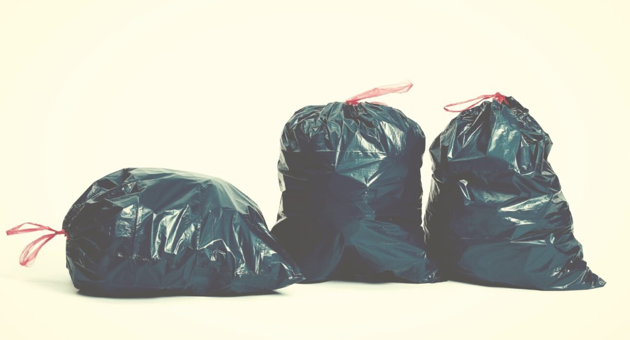Literary Center » Why can't the public sector collect our garbage?