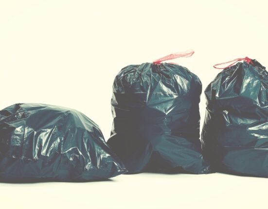 Literary Center » Why can't the public sector collect our garbage?