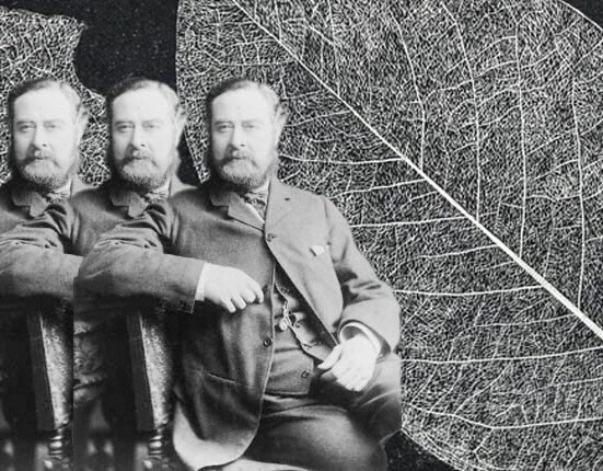 Literary Hub »Lit Hub Daily: July 29, 2026