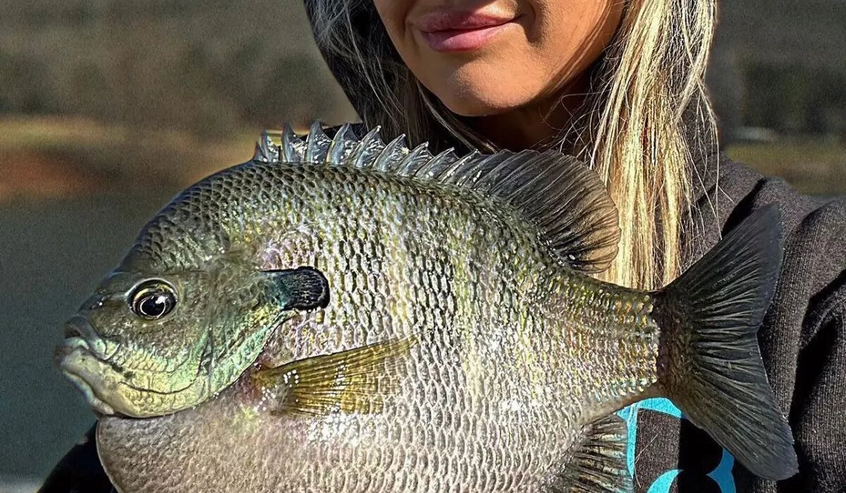 Meet the "Slab Queen" who's on a mission to grow (and catch) the next world-record bluegill