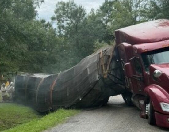 Millions of bees fled after truck overturned in Texas