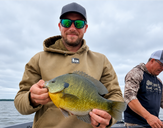 Minnesota angler lands 2-pound bluegill to set new state record