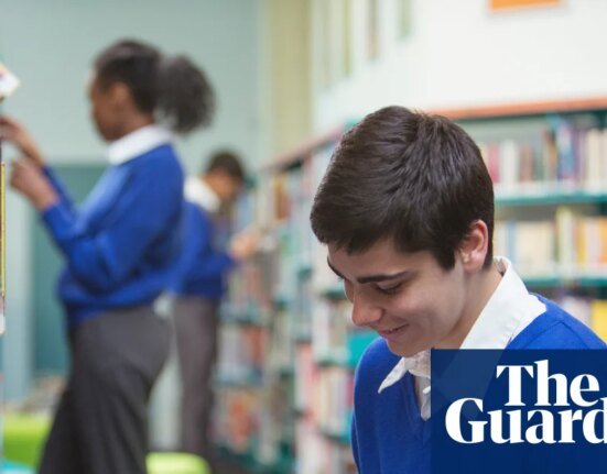 National Year of Reading should be extended by a decade, inquiry says books
