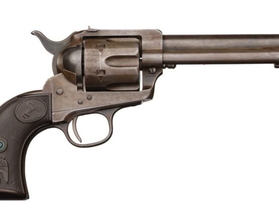 POTD: Colt Flattop Target