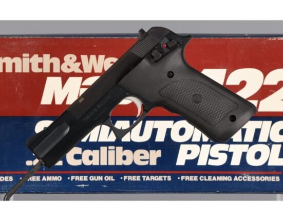 POTD: S&W Model 422