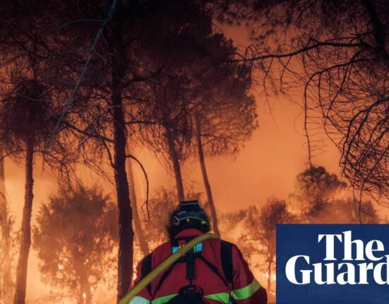Race against time to control wildfires in France and Spain - Latest | Forest fire