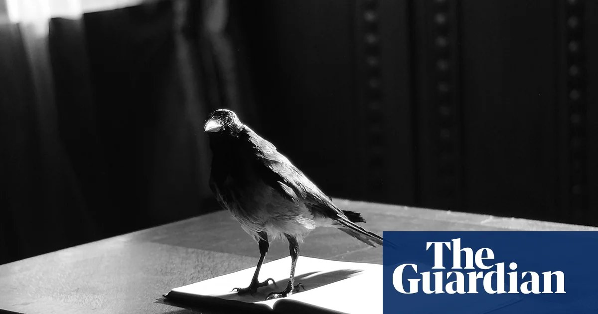 Review by Max Porter – Mourning Is a Thing with Wings – a brilliant rendition of mourning. audio books