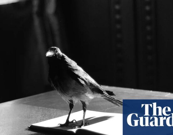Review by Max Porter – Mourning Is a Thing with Wings – a brilliant rendition of mourning. audio books
