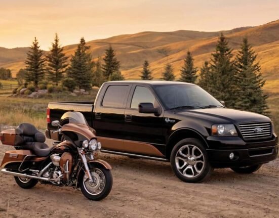Rocky Mountain Elk Foundation is auctioning off a Harley-Davidson to help wildlife