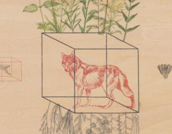 Seven new poetry collections to read in July