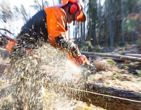 Should chainsaws be allowed in the woods? Attention readers.