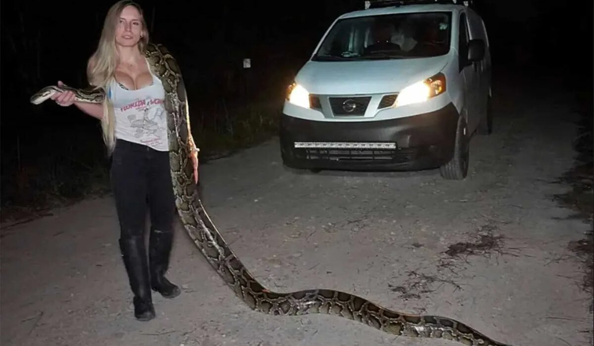 Snake hunters are headed to Florida for the strangest, most viral competition in the country