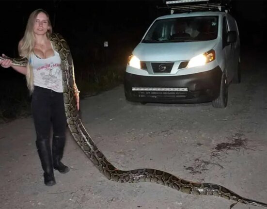 Snake hunters are headed to Florida for the strangest, most viral competition in the country