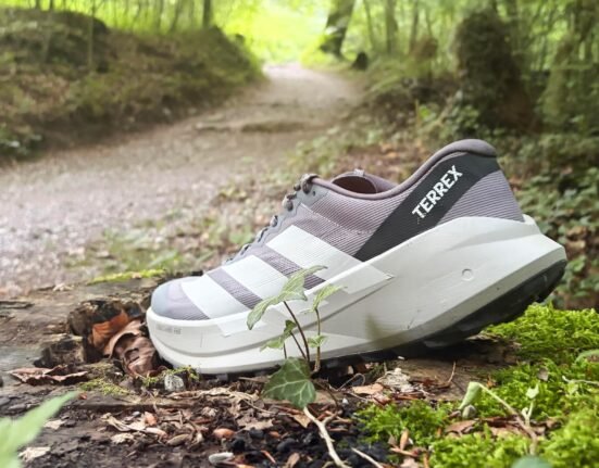 The Adidas Terrex Agravik SL is my favorite trail running shoe