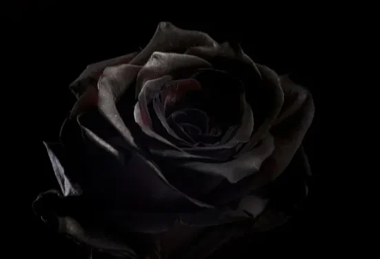 The Best New Dark Romance Books for Thrills