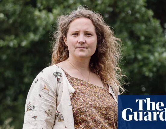The Long Wave by Daisy Johnson review – a masterful novel of motherhood and loss Imagination